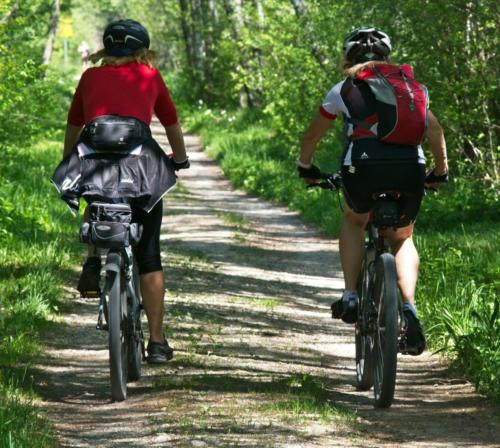 BIKING TOUR IN THE CHIANTI REGION