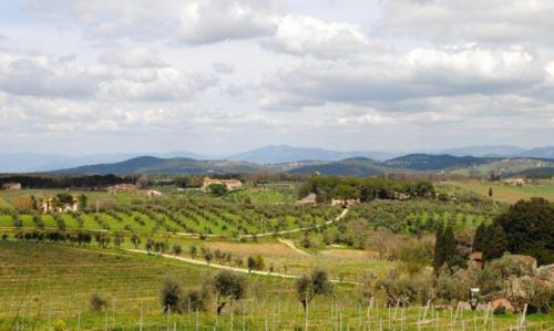 The Chianti Wine Region